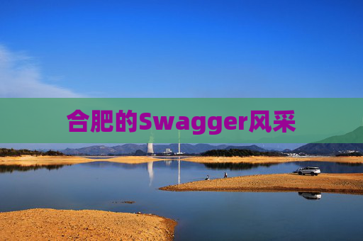 合肥的Swagger风采