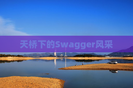 天桥下的Swagger风采